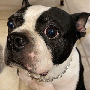 Meet your Posher, Colby